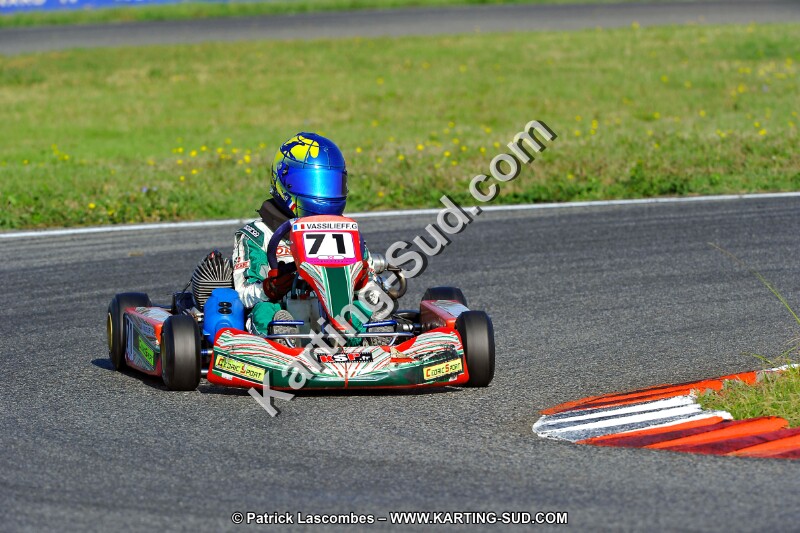 DSC_ (929).jpg